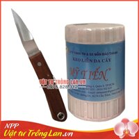 1 lọ keo Mỹ Tiến 225g + 1 dao ghép cán gỗ gấp màu vàng mũi nhọn