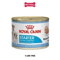 1 Lon 195G - Pate chó Royal Canin Mini Starter Mother & BabyDog - Chó mẹ mang thai & chó con < 2 tháng