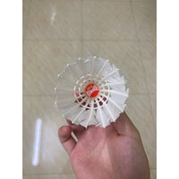 1 Ống cầu lông cũ 12 quả 70-80% , 80-90%