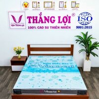 (1 Tặng 8) - Nệm Điều Hòa Thắng Lợi Vitamin Cool Chính Hãng - Quà 8 món - Giao Hàng Nhanh Toàn Quốc - Bảo Hành 15 năm