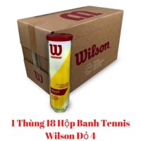 1 Thùng Bóng Tennis Wilson Championship ( Lon 4 Trái ), banh tenis wilson