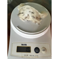 1 tổ yến thô 10g tặng táo đỏ