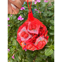 1 túi 50 gói xúc xích 2 viên Anna