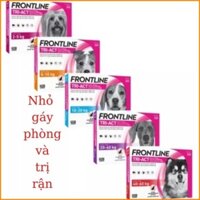 [1 Tuýp] Thuốc nhỏ gáy trị ve rận Frontline Plus cho chó mèo