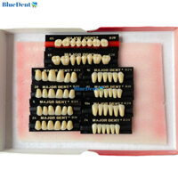 1 Vĩ Răng Nhựa B3 Tháo Lắp Có 3 Lớp Cao Cấp Major 6R Hoặc 8R