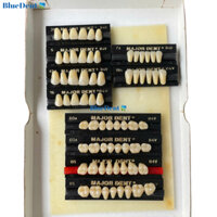 1 Vĩ Răng Nhựa B4 Tháo Lắp Có 3 Lớp Cao Cấp Major 6R Hoặc 8R