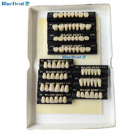 1 Vĩ Răng Nhựa C2 Tháo Lắp Có 3 Lớp Cao Cấp Major 6R Hoặc 8R