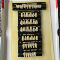 1 Vĩ Răng Nhựa C3 Tháo Lắp Có 3 Lớp Cao Cấp Major 6R Hoặc 8R