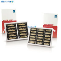 1 Vĩ Răng Nhựa Giả Tháo Lắp Màu A3.5 Có 3 Lớp Cao Cấp Major 6R Hoặc 8R