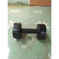 1 Viên tạ tay 9kg gang đúc liền khối