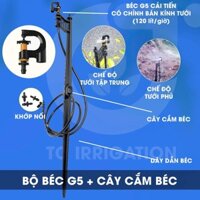 10 Bộ Béc G5 Cải Tiến Thích Hợp Cho Cây Lâu Năm