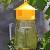 10 bộ lọ bẫy ruồi vàng sinh học kèm thuốc dẫn dụ