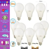 10 Bóng đèn Led 20w bup tròn A80 tiết kiệm điện siêu sáng thân kín chống nước mưa Posson LB-20x - Sáng trắng