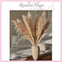 10 canh hoa cỏ lau cắm trang trí nhà cửa,hoa khô vintage, deco nhà cửa tiện lợi