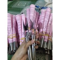 10 cây dụng cụ gọt mắt thơm ( dứa) inox cao cấp