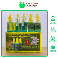 10 Chai Chế Phẩm Hùng Nguyễn - S.iêu Kích Rễ, Bổ Sung Dinh Dưỡng Cho Hoa Lan & Cây Cảnh (10x20ml)