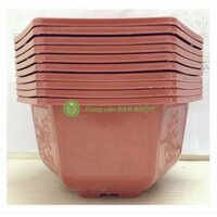 10 Chậu Nhựa Lục Giác Bonsai 280x180 Bình Thuận, Trồng Hoa, Cây Cảnh