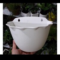 10 Chậu Nhựa Trồng Cây Bán Nguyệt Treo Tường - Chậu Bền Đẹp, Có Khay Thoát Nước
