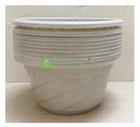 10 Chậu Nhựa Trồng Cây Hoa, Cây Cảnh C180 CN - chậu nhựa Mini C180 CN