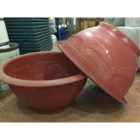 10 chậu nhựa trồng cây T38