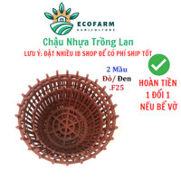 10 Chậu nhựa trồng lan có nan phụ f30