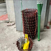 10 chậu sen f21 - 10 móc 70cm - 10 lưới - tặng 1 kích rễ, 1 túi phân trùn