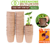 10 Chậu Trồng Cây Greenhome, D8xR8cm, Bằng Giấy Tự Phân Huỷ, Ươm Hạt Giống, Cây Con, Tiện Lợi, Thân Thiện Môi Trường - 10 CHẬU GIẤY