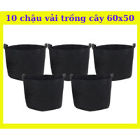 10 Chậu vải trồng cây ( 60x50 chậu lớn) Túi vải trồng rau, củ, quả, cây cảnh