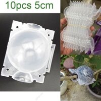 10 Chiếc Cây Rễ Bóng 5cm Rễ Hộp Nhựa Trong Suốt Hoa Ghép Trồng Cao Áp Giống