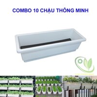 [10 chiếc] Chậu nhựa trồng cây, hoa thông minh KT 48x20x16cm
