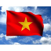 10 cờ tổ quốc ( giá sỉ )