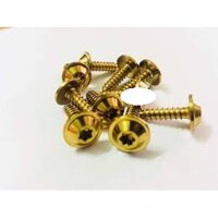10 con ốc xi vàng gắn dàn áo cho mọi loại xe( răng thưa)