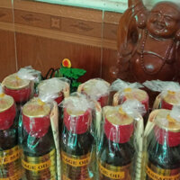 10 dầu massage Huế ( + TẶNG 1 dầu gió Thái Lan 3cc ) ( 10 chai xoa bóp thủy tinh x 60ml )