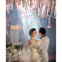 10 Hạt nhựa , chim ruồi thả trần decore