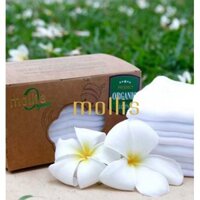 10 KHĂN TAY SỮA TRẺ EM CAO CẤP MOLLIS ORGANIC 30 X 30 CM - P777