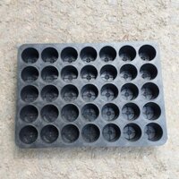 10 Khay Vĩ Ươm Hạt Nhựa Cứng 35 Lỗ Tiện Dụng