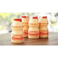 10 Lốc Sữa Yakult hỗ trợ tăng cường hệ miễn dịch đường ruột