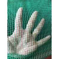 10 Mét lưới màu xanh khổ cao 1 mét 80 chắn gà vịt, côn trùng, che công trình nhà ở,,, Hàng chất lượng