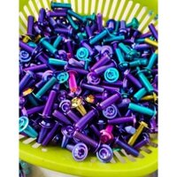 10 ốc titan gr5 8x25mm