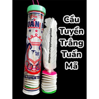 10 Quả Cầu Đá Tuyến Trắng Tuấn Mã