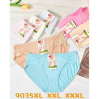 10 quần lót cotton bigsize- Quần chip lót nữ big size 3XL cho người béo mập 60kg 70kg 80kg cạp nhỏ lưng cao