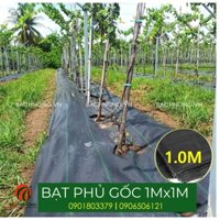 10 Tấm Bạt Phủ Gốc Chống Cỏ Mọc, khổ 1.2mx1.2m, Tặng kèm 40 ghim nhựa