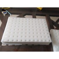 10 tấm mút xốp ươm hạt