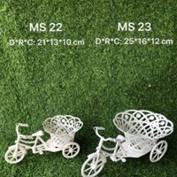 10 XE ĐẠP NHỎ MS22 200K