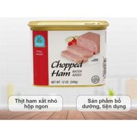 (100% Ảnh Thật) 👉 Thịt ham xắt nhỏ Bristol - Mỹ 👉 340g