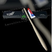 100 bàn chải lúa mạch cán bầu bao bì hộp giấy(mẫucánh chim) cho khách sạn, resort, homestay, villa,..nhận in logo