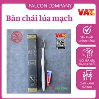 100 Bàn chải lúa mạch lông mềm mại đóng hộp giấy cao cấp sang trọng cho khách sạn, resort,...