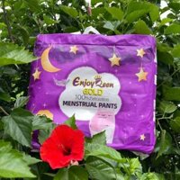 100 Băng vệ sinh dạng quần Enjoy Queen siêu mỏng, siêu thấm Freesize 40-80Kg