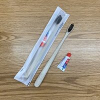 100 Bộ bàn chải lúa mạch và kem ống 2g đóng túi nhựa trắng dùng cho nhà nghỉ, khách sạn