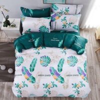 100 Bộ chăn ga gối cotton nhập khẩu